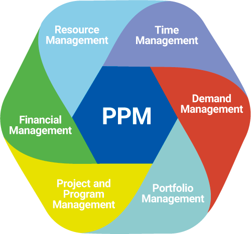 Multi-Project Management & Project Portfolio Management differences ...