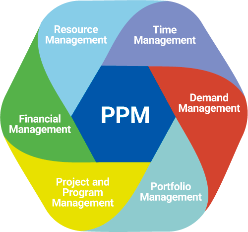 What Is Project Portfolio Management Pmi