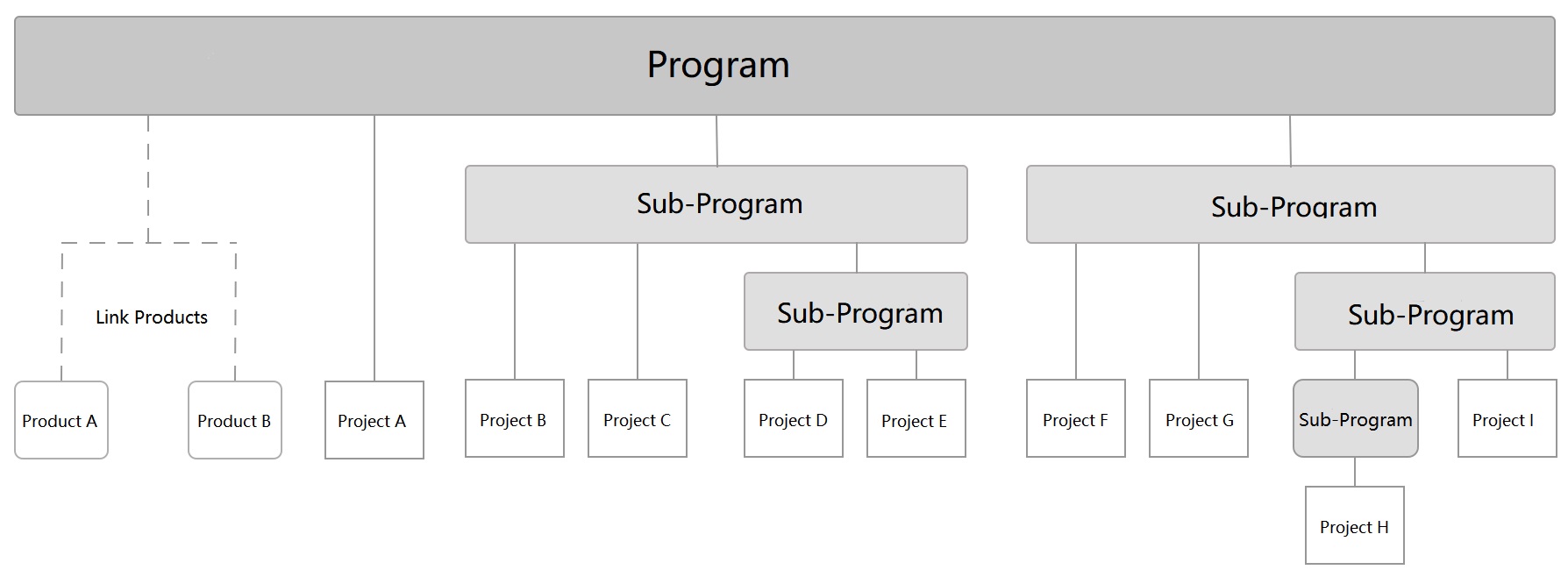 program and project concept